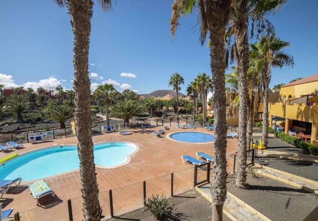 Lightbooking Oasis Royal Corralejo F311 外观 照片