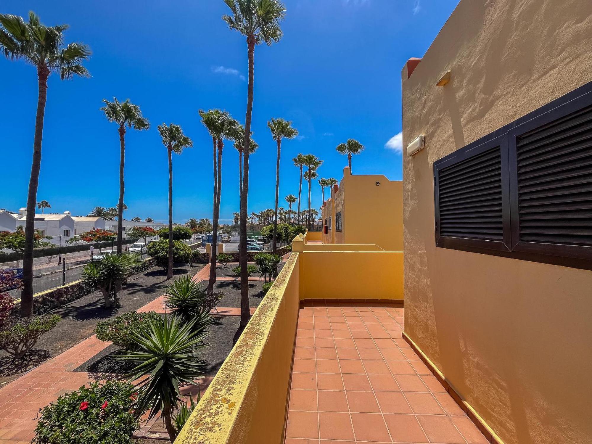 Lightbooking Oasis Royal Corralejo F311 外观 照片